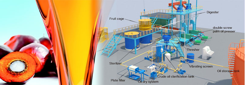 3D palm oil milling factory setup