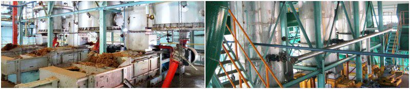 crude palm oil pressing plant