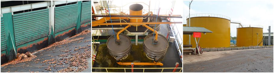 global palm oil mill manufacturer for palm oil equipment at wholesale cost