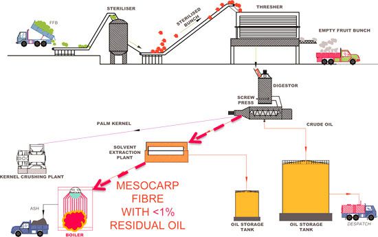 mechanical palm oil extraction process