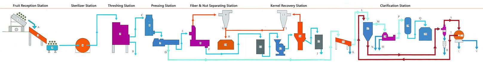 palm oil manufacturing process