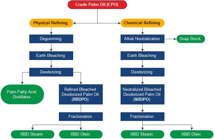 physical-and-chemical-process-in-palm