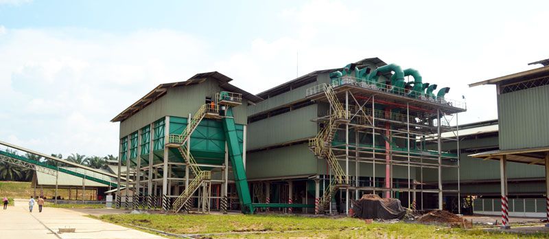 set up a palm oil processing factory to manufacture edible red palm oil