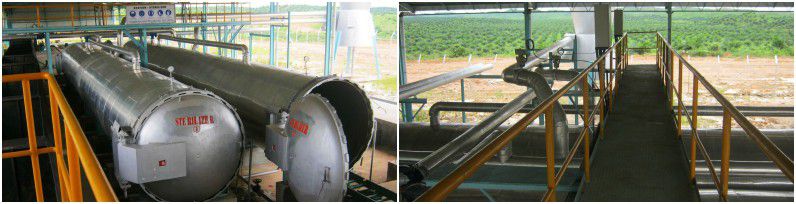 Sterilizing of palm oil extracting plant