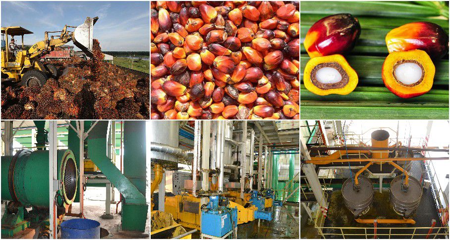 How many tons palm kernels are needed to produce 1 ton palm kernel