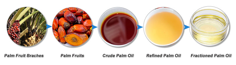 Ultimate Guide to Setting Up the Best Palm Oil Refinery