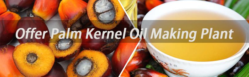 Palm Kernel Oil 