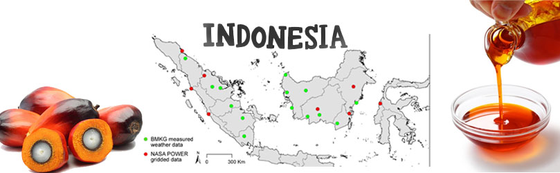 Palm Oil Mill Plant Setup Guide in Indonesia: Zero to One Business