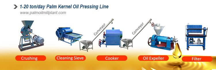 BEST Price Peanut Oil Extraction Machine for High Efficient Oil Mill